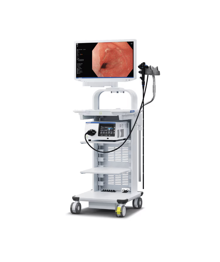 リオクルの買取 01